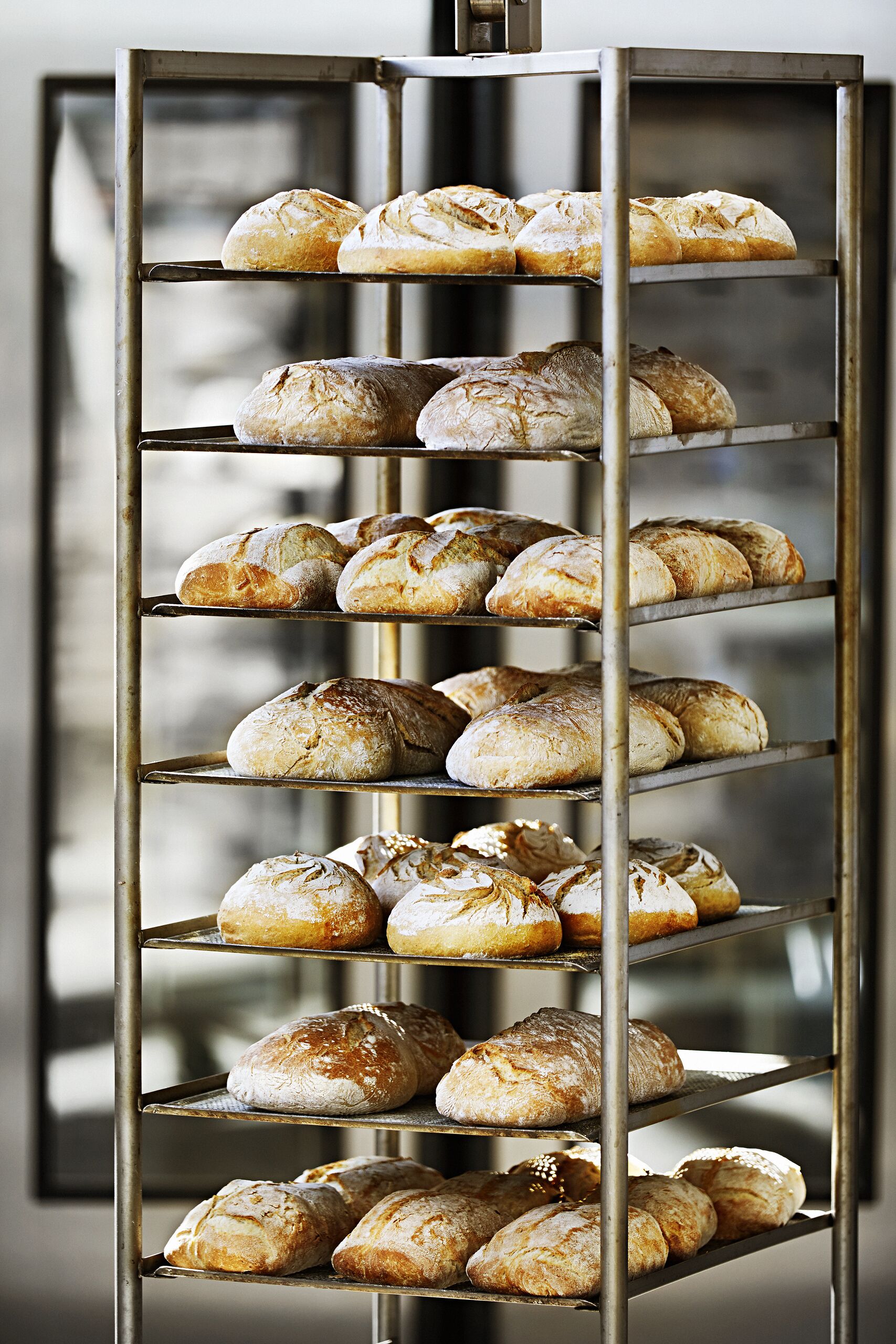 Session utan namn20114